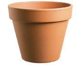 Comparing pot materials: terracotta